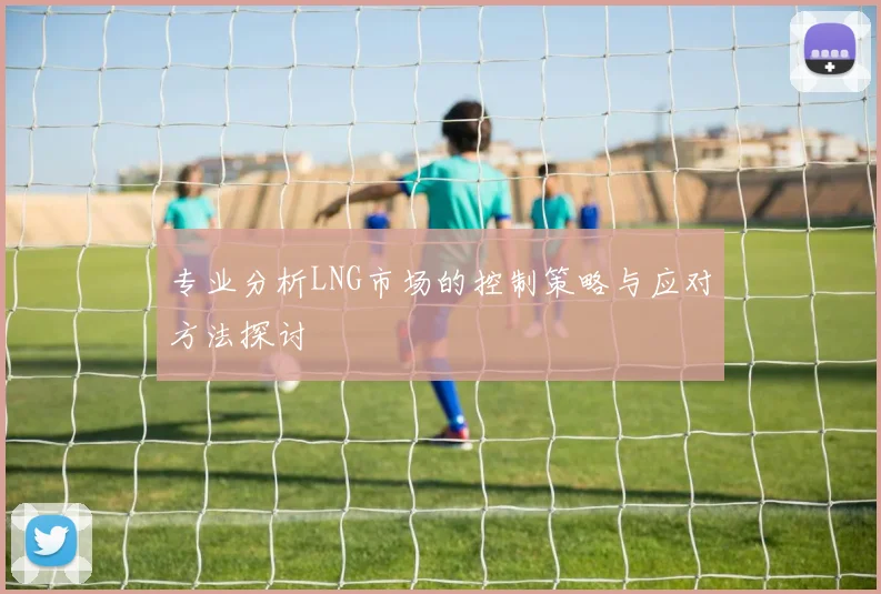 专业分析LNG市场的控制策略与应对方法探讨