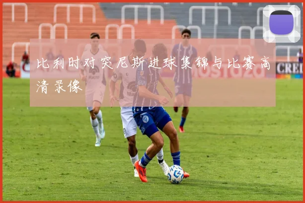 比利时对突尼斯进球集锦与比赛高清录像